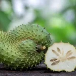 Manfaat Buah Sirsak