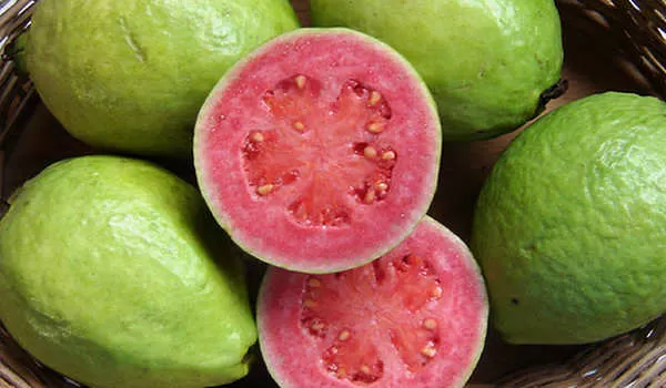 Buah Jambu Biji