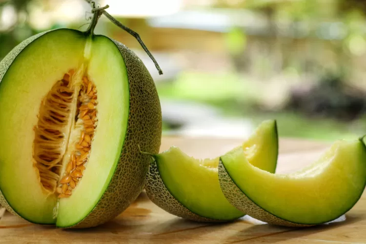 Buah Melon