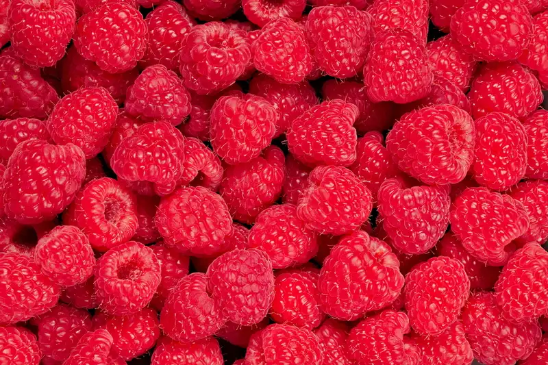 Keajaiban Buah Frambos