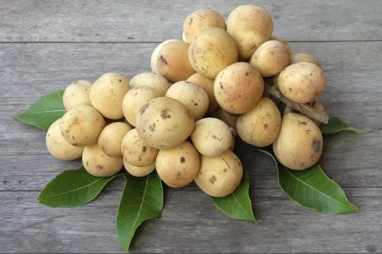Rahasia Kesehatan Buah Duku