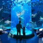 Wisata Jakarta Barat yang Tak Pernah Sepi, Pilihan Favorit Warga Ibu Kota