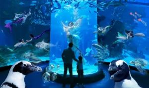 Wisata Jakarta Barat yang Tak Pernah Sepi, Pilihan Favorit Warga Ibu Kota Wisata Jakarta Barat yang Tak Pernah Sepi, Pilihan Favorit Warga Ibu Kota