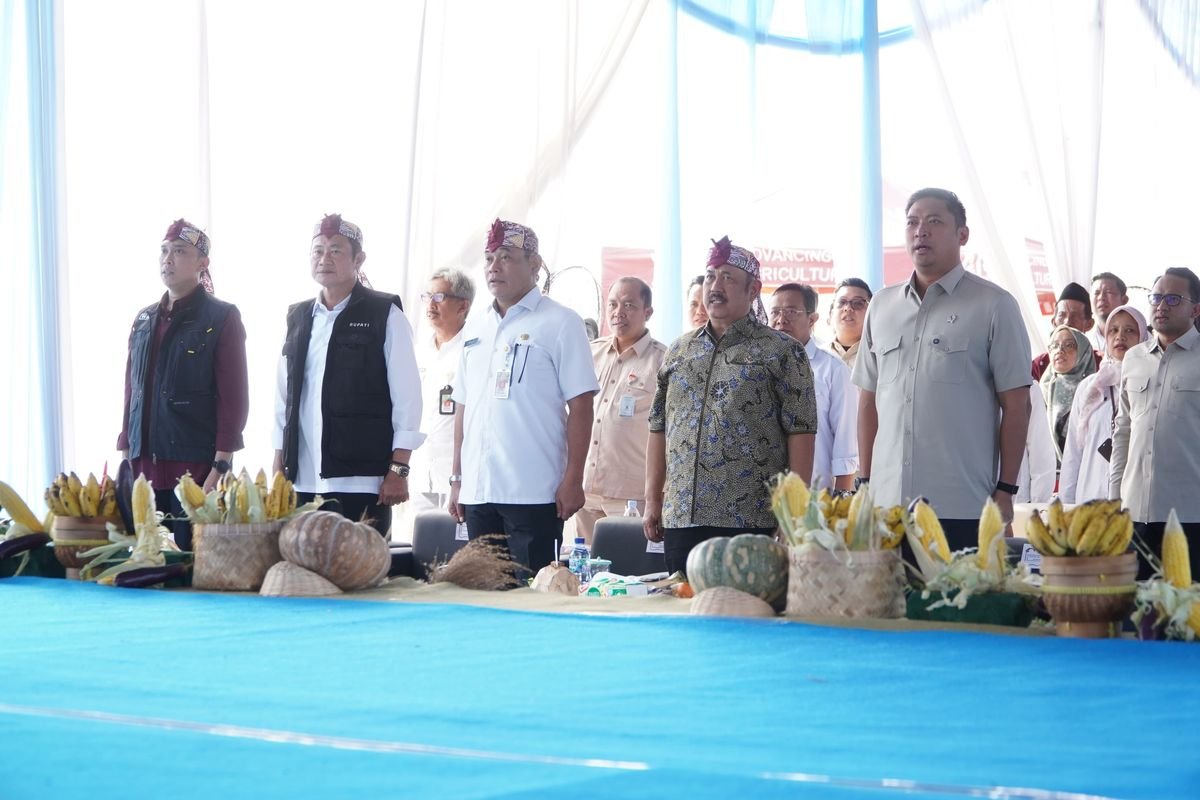 Lamongan