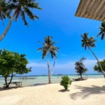 Pantai di Jawa Tengah yang Paling Dicari Turis Mancanegara, Karimunjawa Teratas