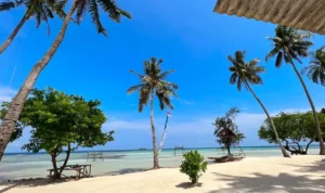 Pantai di Jawa Tengah yang Paling Dicari Turis Mancanegara, Karimunjawa Teratas