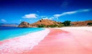 Pantai Pink Lambu, Pesona Merah Muda di Ujung Timur Bima