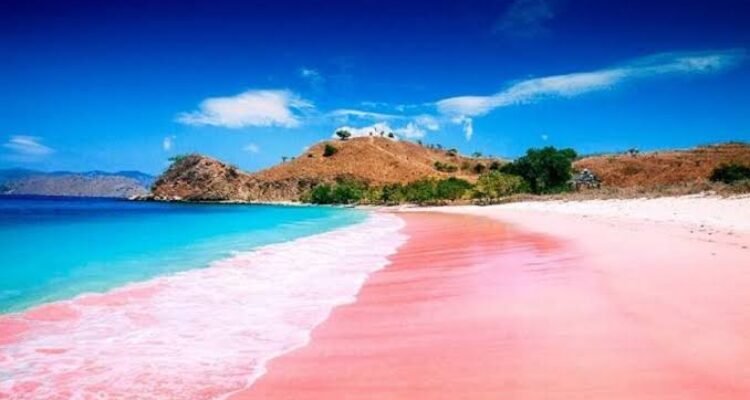 Pantai Pink Lambu, Pesona Merah Muda di Ujung Timur Bima